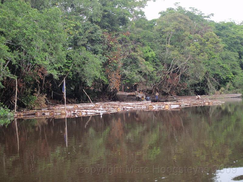 20 Workers of Miss Nelly preparing a raft to transport wenge to Kinshasa at gps S 03 14 663 E 020 02 926.jpg